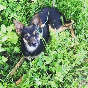 Meet your Posher, Aaliyah